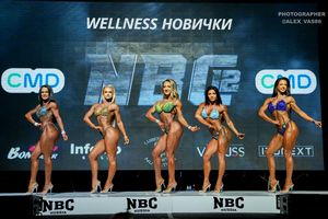 WELLNESS НОВИЧКИ